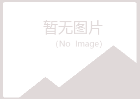 偃师宿命服务有限公司